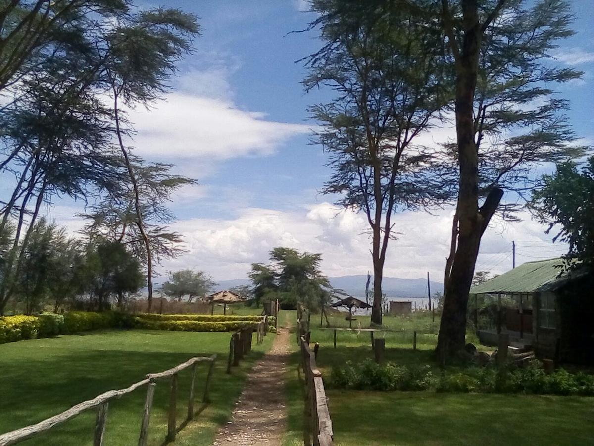 Hippo Safaris Resort Naivasha Eksteriør bilde
