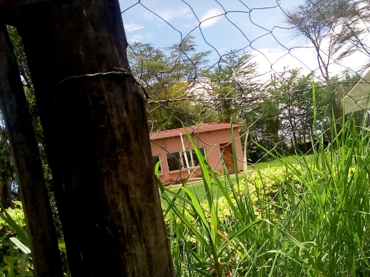 Hippo Safaris Resort Naivasha Eksteriør bilde