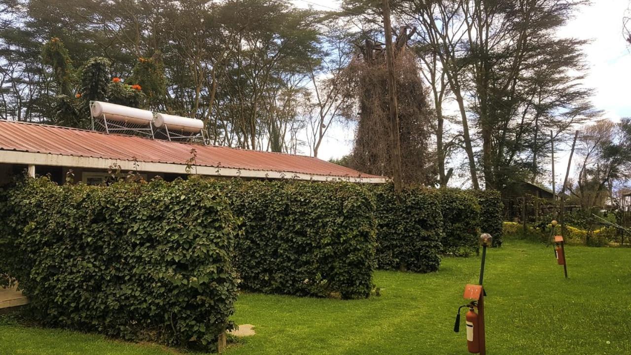 Hippo Safaris Resort Naivasha Eksteriør bilde